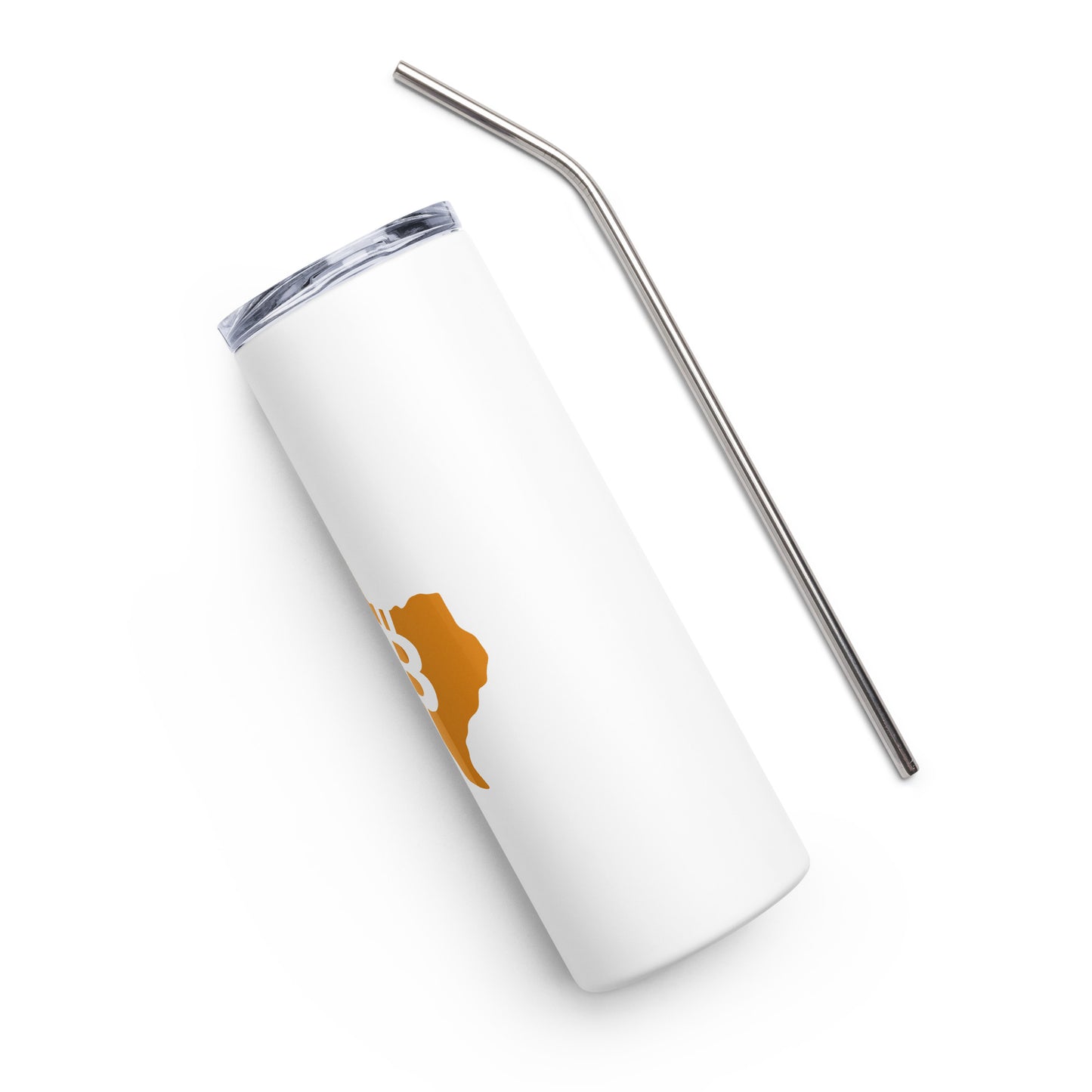 Stainless steel tumbler