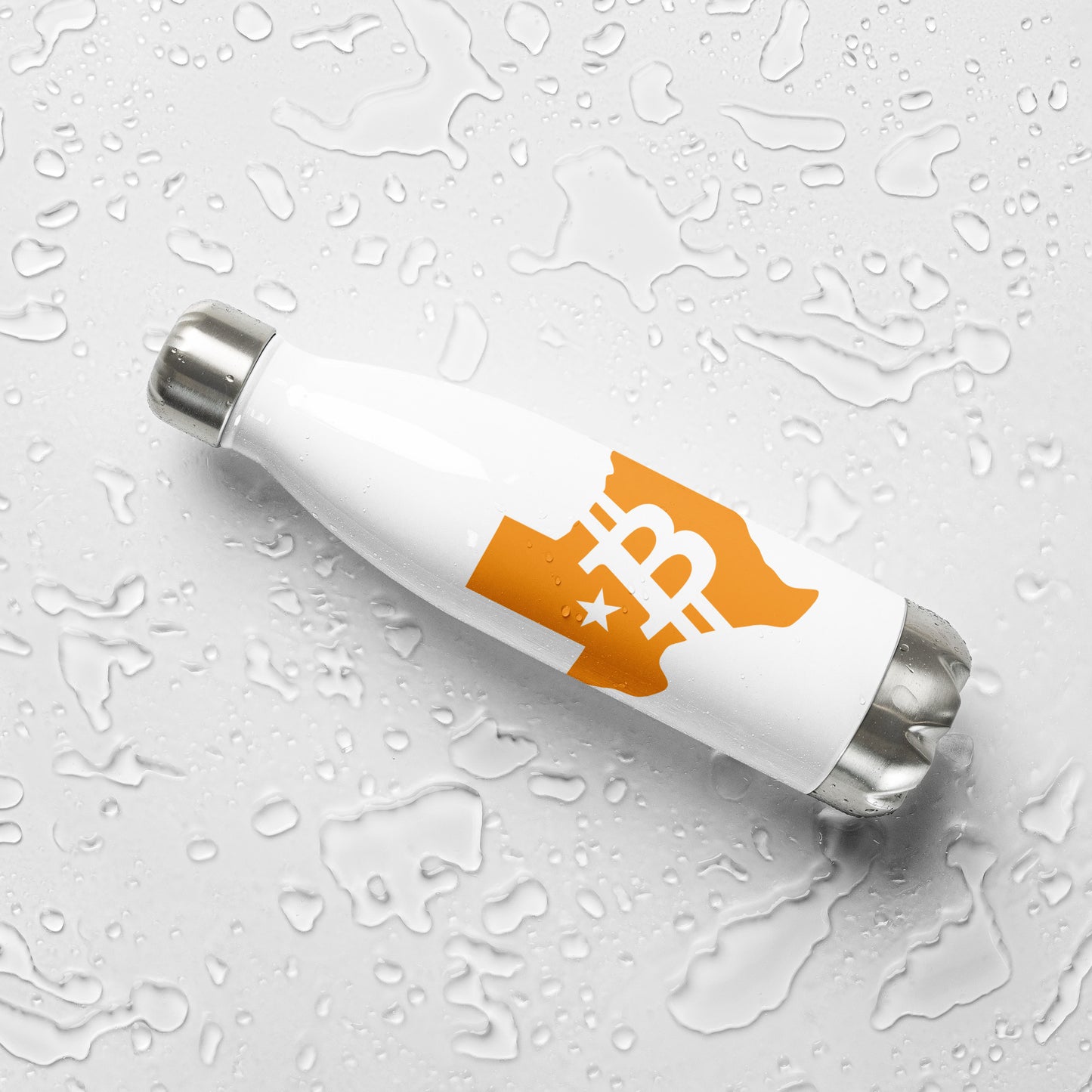 Stainless Steel Water Bottle
