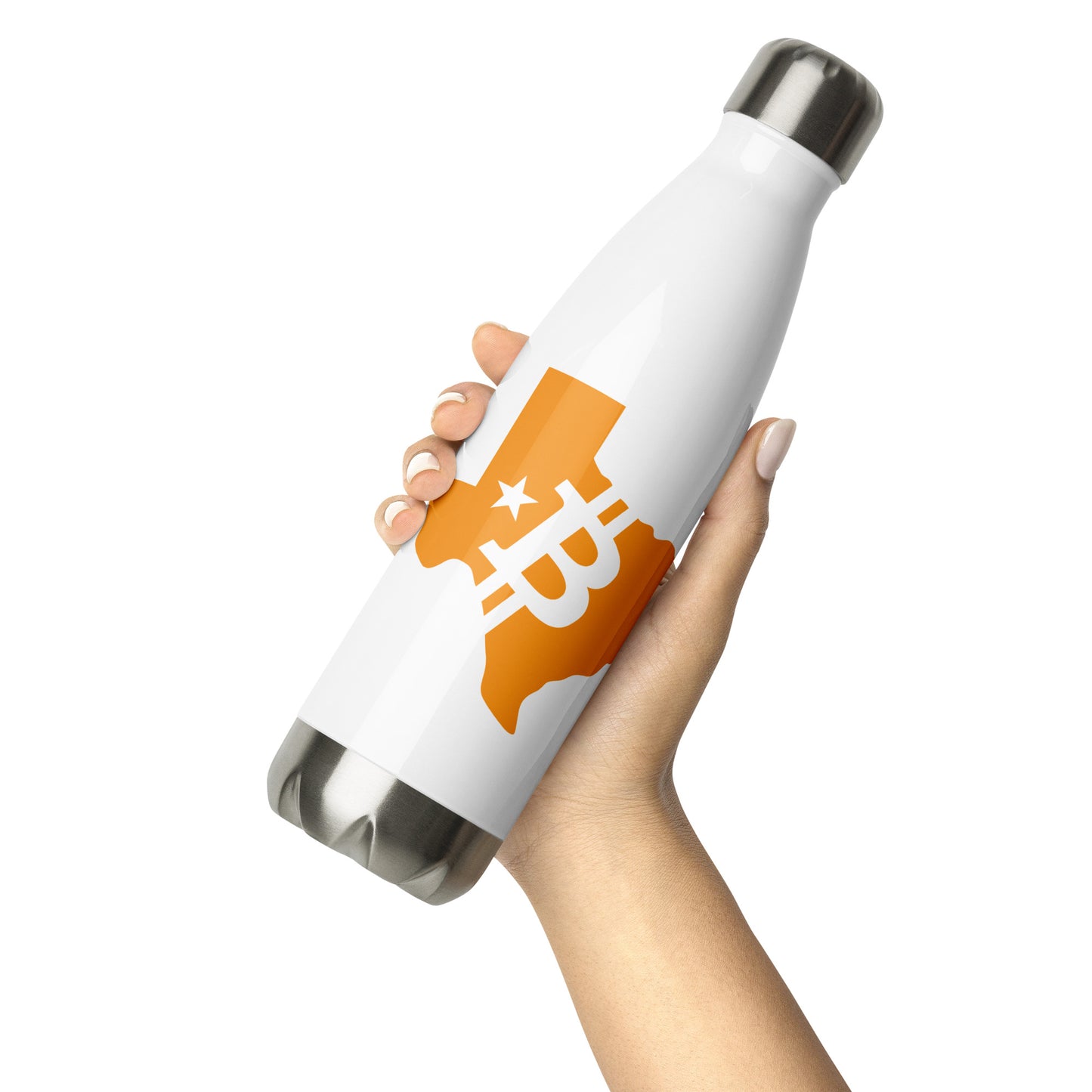 Stainless Steel Water Bottle