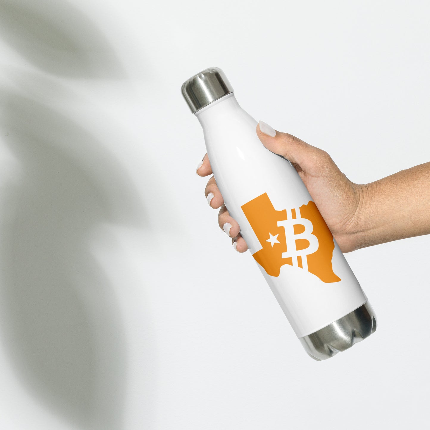 Stainless Steel Water Bottle