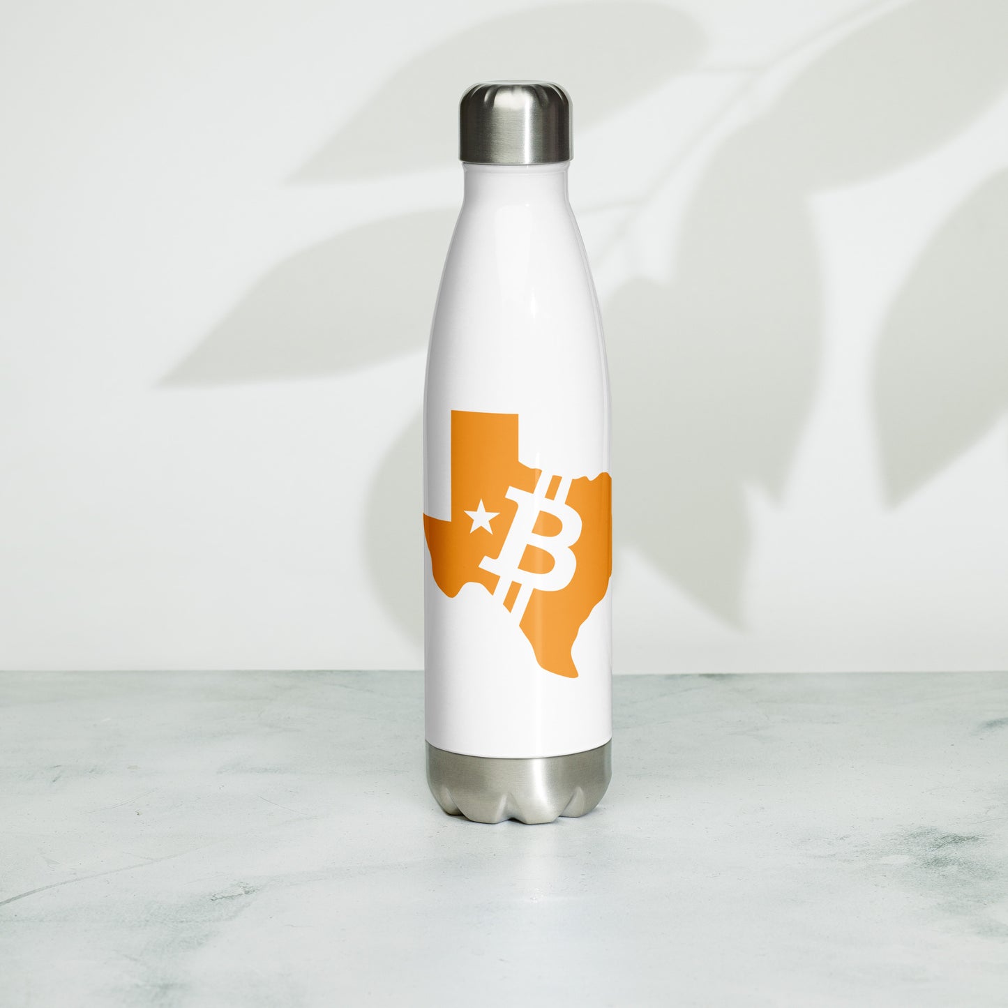 Stainless Steel Water Bottle