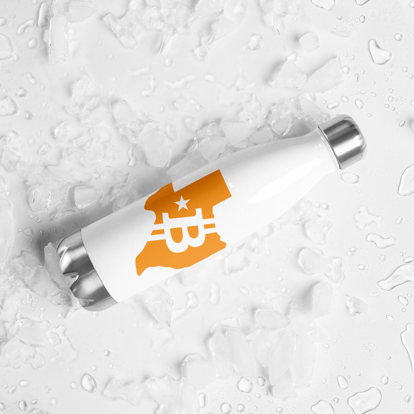 Stainless Steel Water Bottle
