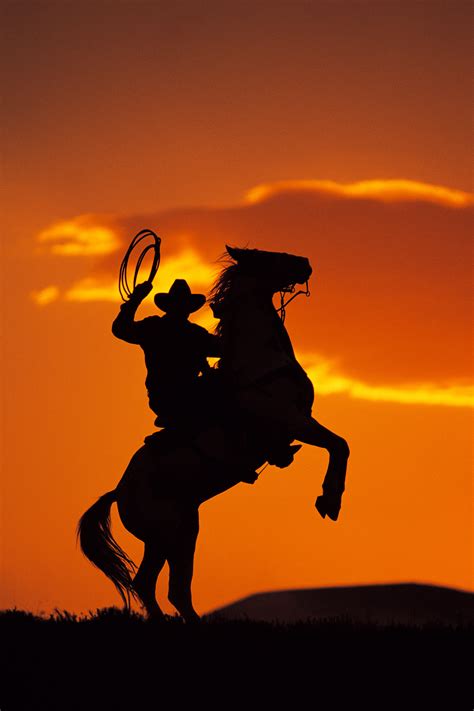 A texan bitcoiner riding a steed